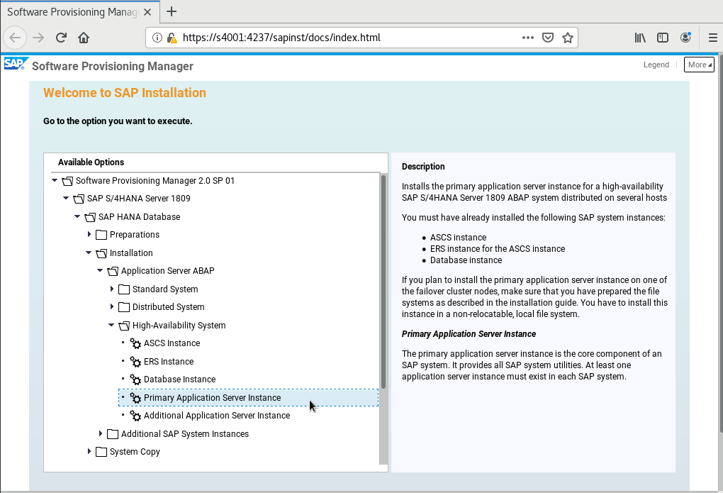 how to install sap download manager for free