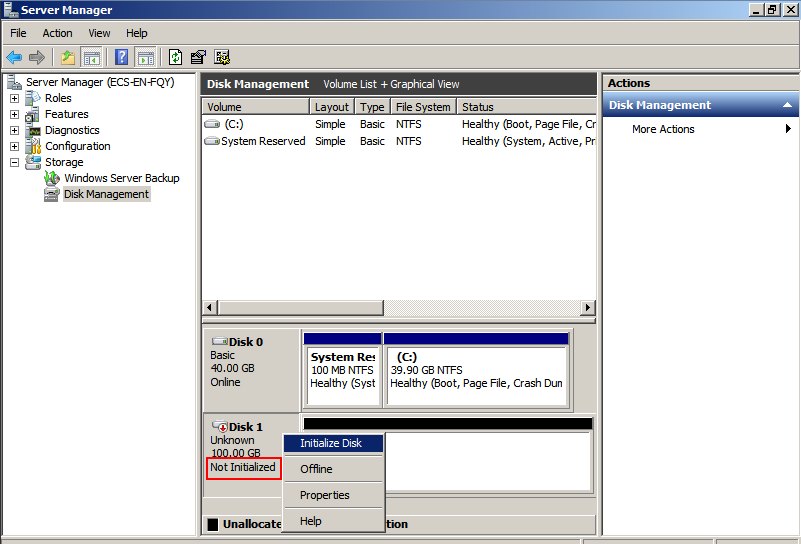 initialize disk before logical disk manager